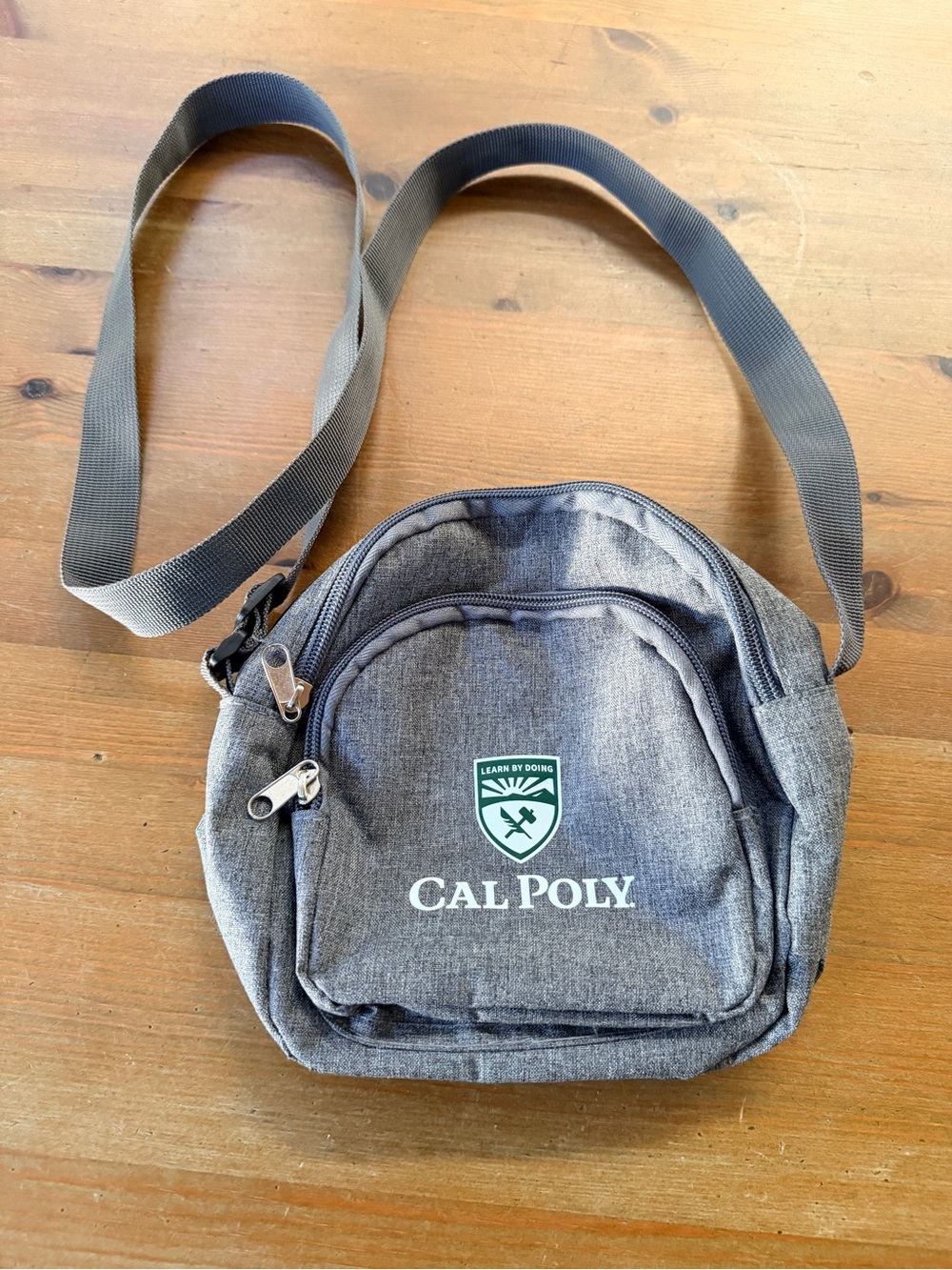 Cal Poly Learn by Doing Collegiate Grey Crossbody Zippered Pockets
